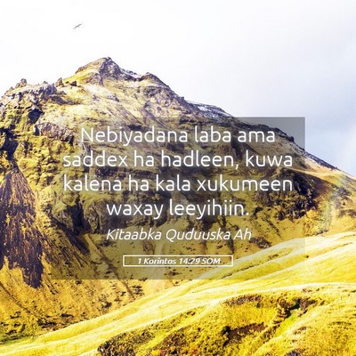 Picture 05 - 1 Korintos 14:29 SOM - Nebiyadana laba ama saddex ha hadleen, kuwa - Bible Verse Picture