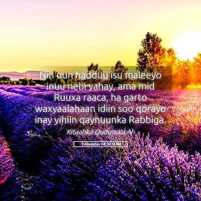 Picture 05 - 1 Korintos 14:37 SOM - Nin uun hadduu isu maleeyo inuu nebi yahay, ama - Bible Verse Picture