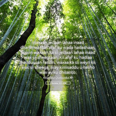 Picture 05 - 1 Korintos 14:5 SOM - Waxaan jeclaan lahaa inaad dhammaantiin afaf ku - Bible Verse Picture