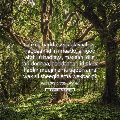 Picture 05 - 1 Korintos 14:6 SOM - Laakiin hadda, walaalayaalow, haddaan idiin - Bible Verse Picture