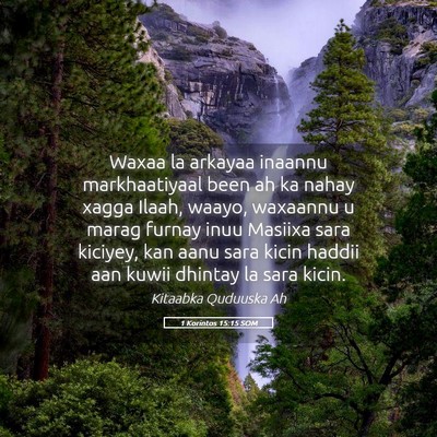 Picture 05 - 1 Korintos 15:15 SOM - Waxaa la arkayaa inaannu markhaatiyaal been ah ka - Bible Verse Picture