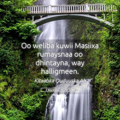 Picture 05 - 1 Korintos 15:18 SOM - Oo weliba kuwii Masiixa rumaysnaa oo dhintayna, - Bible Verse Picture