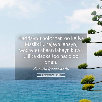 Picture 05 - 1 Korintos 15:19 SOM - Haddaynu noloshan oo keliya Masiix ku rajayn - Bible Verse Picture