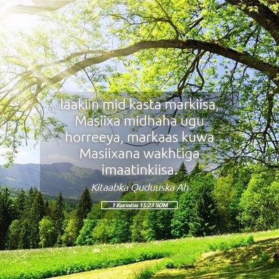 Picture 05 - 1 Korintos 15:23 SOM - laakiin mid kasta markiisa, Masiixa midhaha ugu - Bible Verse Picture