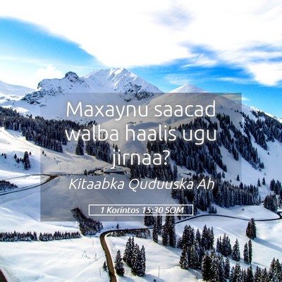 Picture 05 - 1 Korintos 15:30 SOM - Maxaynu saacad walba haalis ugu - Bible Verse Picture