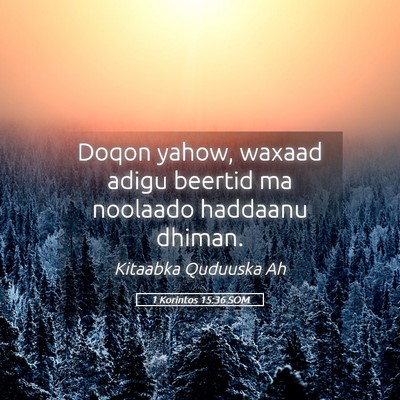 Picture 05 - 1 Korintos 15:36 SOM - Doqon yahow, waxaad adigu beertid ma noolaado - Bible Verse Picture
