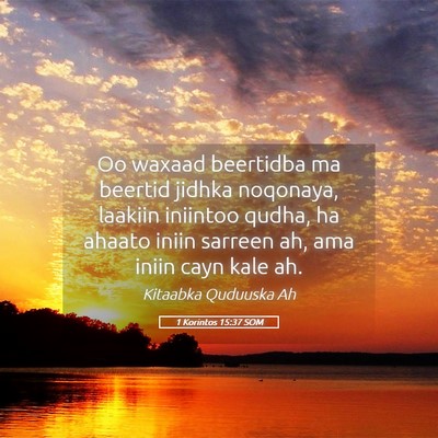 Picture 05 - 1 Korintos 15:37 SOM - Oo waxaad beertidba ma beertid jidhka noqonaya, - Bible Verse Picture