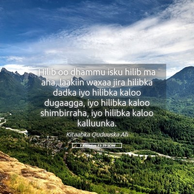 Picture 05 - 1 Korintos 15:39 SOM - Hilib oo dhammu isku hilib ma aha, laakiin waxaa - Bible Verse Picture