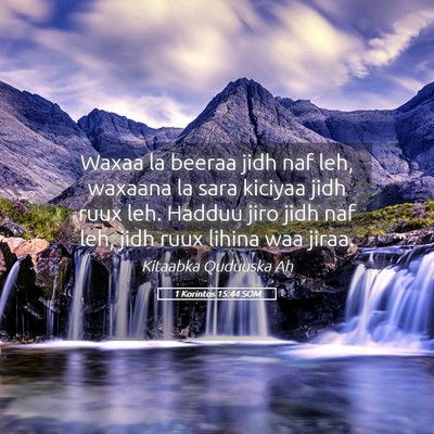 Picture 05 - 1 Korintos 15:44 SOM - Waxaa la beeraa jidh naf leh, waxaana la sara - Bible Verse Picture