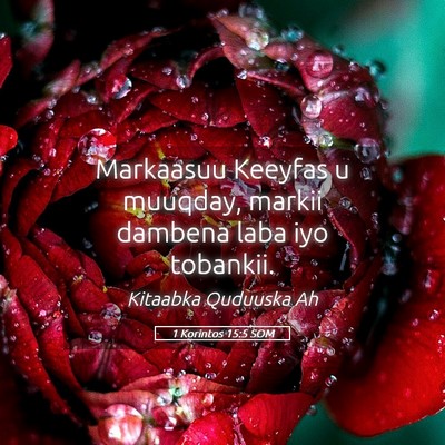 Picture 05 - 1 Korintos 15:5 SOM - Markaasuu Keeyfas u muuqday, markii dambena laba - Bible Verse Picture