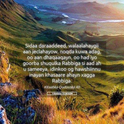 Picture 05 - 1 Korintos 15:58 SOM - Sidaa daraaddeed, walaalahaygii aan jeclahayow, - Bible Verse Picture