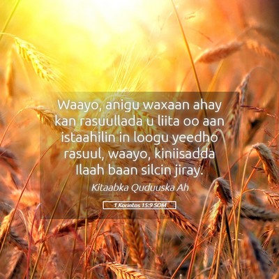 Picture 05 - 1 Korintos 15:9 SOM - Waayo, anigu waxaan ahay kan rasuullada u liita - Bible Verse Picture