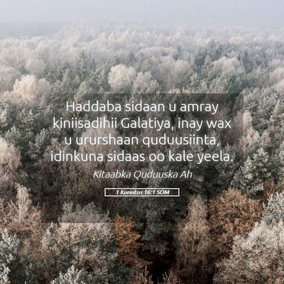 Picture 05 - 1 Korintos 16:1 SOM - Haddaba sidaan u amray kiniisadihii Galatiya, - Bible Verse Picture