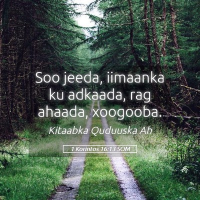 Picture 05 - 1 Korintos 16:13 SOM - Soo jeeda, iimaanka ku adkaada, rag ahaada, - Bible Verse Picture