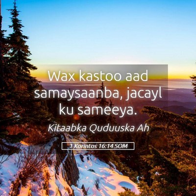 Picture 05 - 1 Korintos 16:14 SOM - Wax kastoo aad samaysaanba, jacayl ku - Bible Verse Picture