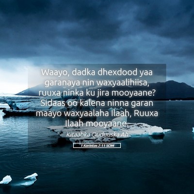 Picture 05 - 1 Korintos 2:11 SOM - Waayo, dadka dhexdood yaa garanaya nin - Bible Verse Picture