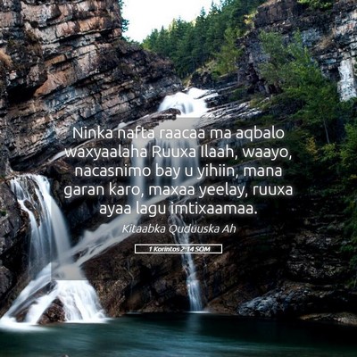 Picture 05 - 1 Korintos 2:14 SOM - Ninka nafta raacaa ma aqbalo waxyaalaha Ruuxa - Bible Verse Picture