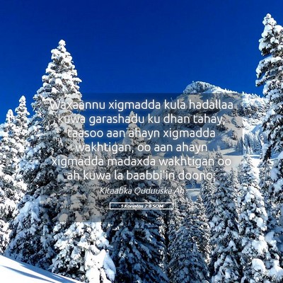 Picture 05 - 1 Korintos 2:6 SOM - Waxaannu xigmadda kula hadallaa kuwa garashadu ku - Bible Verse Picture