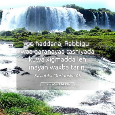 Picture 05 - 1 Korintos 3:20 SOM - oo haddana, Rabbigu waa garanayaa tashiyada kuwa - Bible Verse Picture