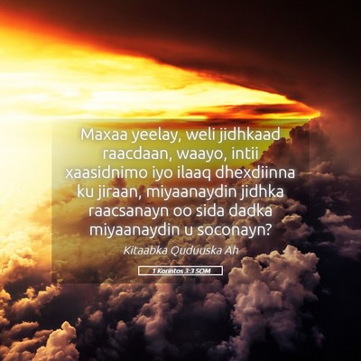 Picture 05 - 1 Korintos 3:3 SOM - Maxaa yeelay, weli jidhkaad raacdaan, waayo, - Bible Verse Picture
