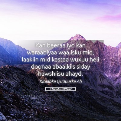 Picture 05 - 1 Korintos 3:8 SOM - Kan beeraa iyo kan waraabiyaa waa isku mid, - Bible Verse Picture