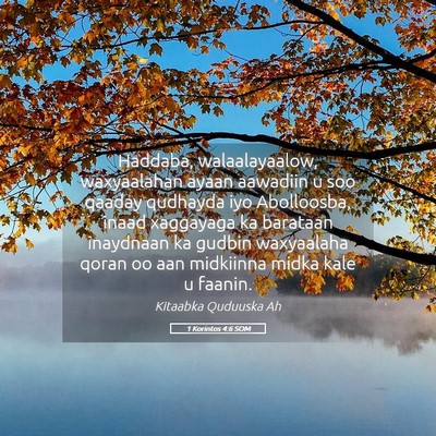 Picture 05 - 1 Korintos 4:6 SOM - Haddaba, walaalayaalow, waxyaalahan ayaan - Bible Verse Picture