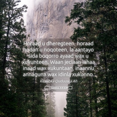 Picture 05 - 1 Korintos 4:8 SOM - Horaad u dheregteen, horaad hodan u noqoteen, - Bible Verse Picture