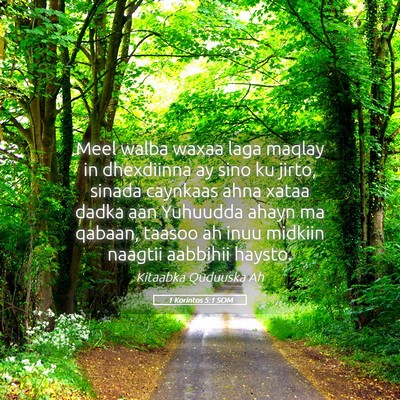 Picture 05 - 1 Korintos 5:1 SOM - Meel walba waxaa laga maqlay in dhexdiinna ay - Bible Verse Picture