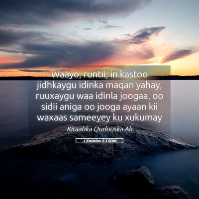 Picture 05 - 1 Korintos 5:3 SOM - Waayo, runtii, in kastoo jidhkaygu idinka maqan - Bible Verse Picture