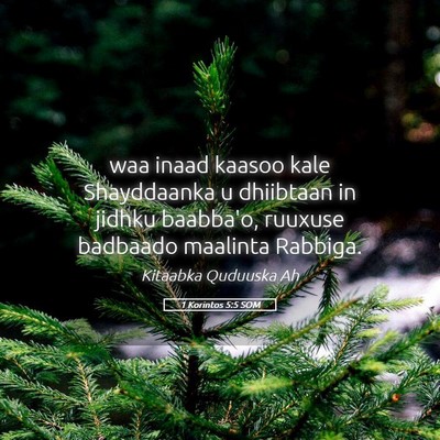 Picture 05 - 1 Korintos 5:5 SOM - waa inaad kaasoo kale Shayddaanka u dhiibtaan in - Bible Verse Picture