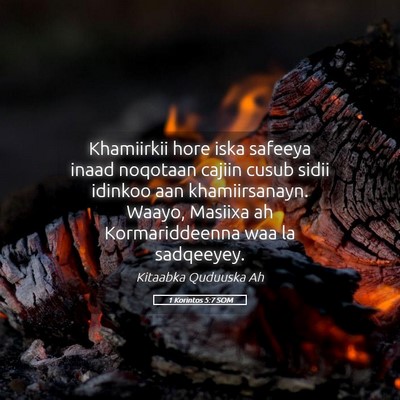 Picture 05 - 1 Korintos 5:7 SOM - Khamiirkii hore iska safeeya inaad noqotaan - Bible Verse Picture