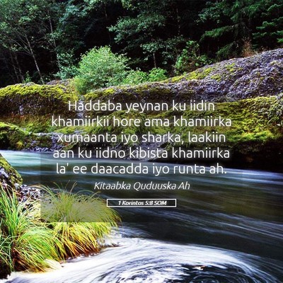 Picture 05 - 1 Korintos 5:8 SOM - Haddaba yeynan ku iidin khamiirkii hore ama - Bible Verse Picture