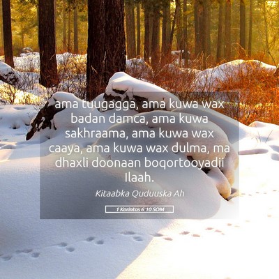 Picture 05 - 1 Korintos 6:10 SOM - ama tuugagga, ama kuwa wax badan damca, ama kuwa - Bible Verse Picture