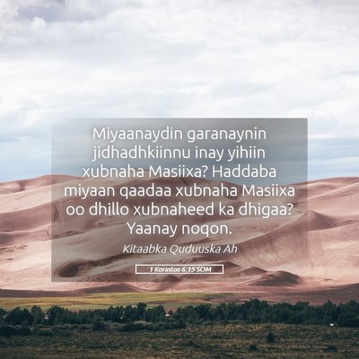 Picture 05 - 1 Korintos 6:15 SOM - Miyaanaydin garanaynin jidhadhkiinnu inay yihiin - Bible Verse Picture