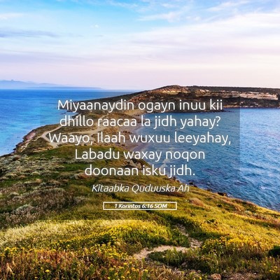 Picture 05 - 1 Korintos 6:16 SOM - Miyaanaydin ogayn inuu kii dhillo raacaa la jidh - Bible Verse Picture