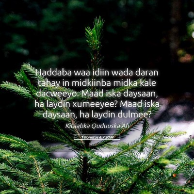 Picture 05 - 1 Korintos 6:7 SOM - Haddaba waa idiin wada daran tahay in midkiinba - Bible Verse Picture
