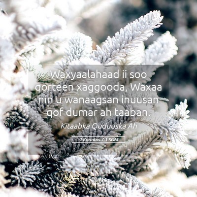 Picture 05 - 1 Korintos 7:1 SOM - Waxyaalahaad ii soo qorteen xaggooda, Waxaa nin u - Bible Verse Picture