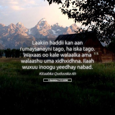 Picture 05 - 1 Korintos 7:15 SOM - Laakiin haddii kan aan rumaysanayni tago, ha iska - Bible Verse Picture