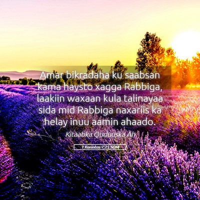 Picture 05 - 1 Korintos 7:25 SOM - Amar bikradaha ku saabsan kama haysto xagga - Bible Verse Picture