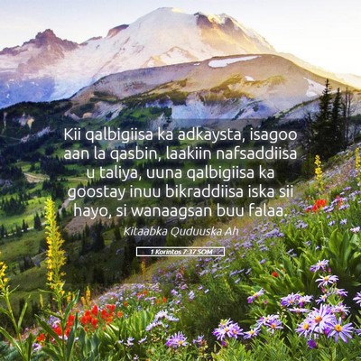 Picture 05 - 1 Korintos 7:37 SOM - Kii qalbigiisa ka adkaysta, isagoo aan la qasbin, - Bible Verse Picture