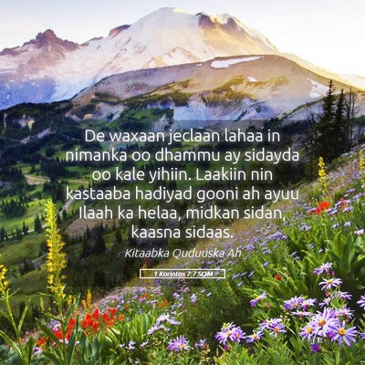 Picture 05 - 1 Korintos 7:7 SOM - De waxaan jeclaan lahaa in nimanka oo dhammu ay - Bible Verse Picture