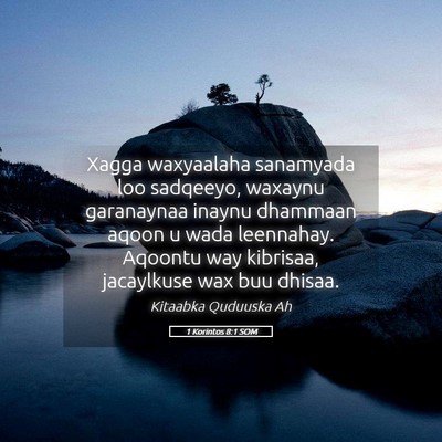 Picture 05 - 1 Korintos 8:1 SOM - Xagga waxyaalaha sanamyada loo sadqeeyo, waxaynu - Bible Verse Picture