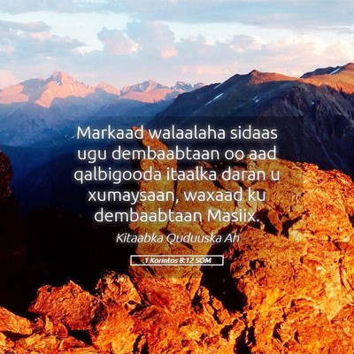 Picture 05 - 1 Korintos 8:12 SOM - Markaad walaalaha sidaas ugu dembaabtaan oo aad - Bible Verse Picture