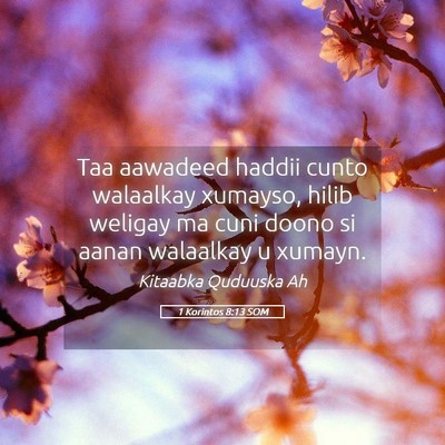 Picture 05 - 1 Korintos 8:13 SOM - Taa aawadeed haddii cunto walaalkay xumayso, - Bible Verse Picture