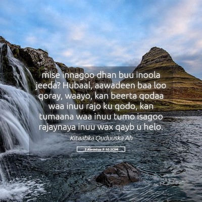 Picture 05 - 1 Korintos 9:10 SOM - mise innagoo dhan buu inoola jeeda? Hubaal, - Bible Verse Picture