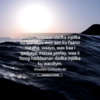 Picture 05 - 1 Korintos 9:16 SOM - Waayo, haddaan dadka injiilka ku wacdiyo, wax aan - Bible Verse Picture