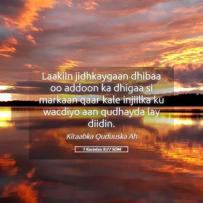 Picture 05 - 1 Korintos 9:27 SOM - Laakiin jidhkaygaan dhibaa oo addoon ka dhigaa si - Bible Verse Picture
