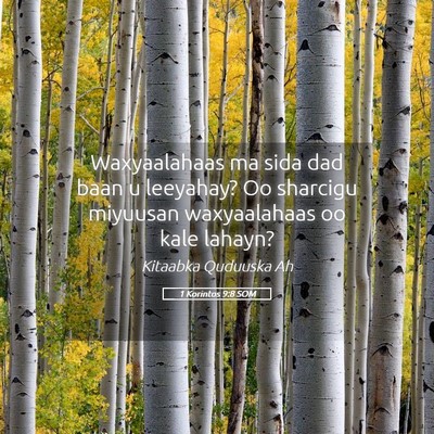 Picture 05 - 1 Korintos 9:8 SOM - Waxyaalahaas ma sida dad baan u leeyahay? Oo - Bible Verse Picture