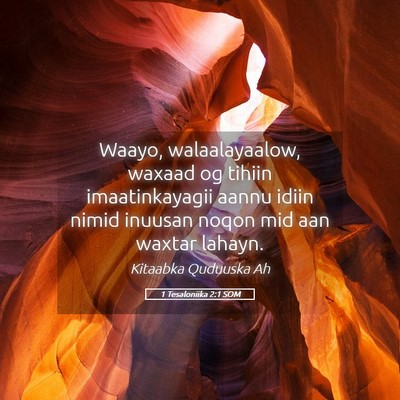 Picture 05 - 1 Tesaloniika 2:1 SOM - Waayo, walaalayaalow, waxaad og tihiin - Bible Verse Picture