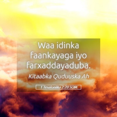 Picture 05 - 1 Tesaloniika 2:20 SOM - Waa idinka faankayaga iyo - Bible Verse Picture
